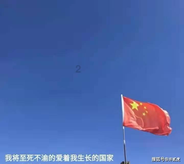 拯救受伤的猫
